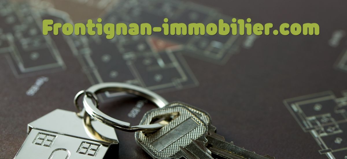 frontignan-immobilier.com frontignan-immobilier.com